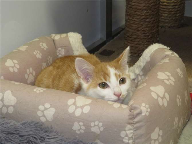 Argon. Fotos: privat