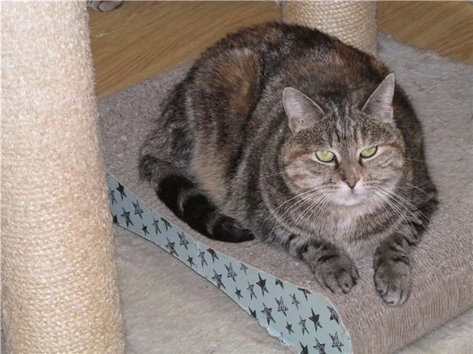 Ariella. Fotos: privat