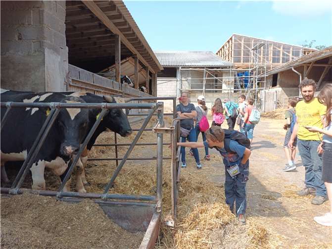 Artgerechte Tierhaltung im Fokus: Realschüler besuchen Milchbauernhof. Foto: Axel Horzinek