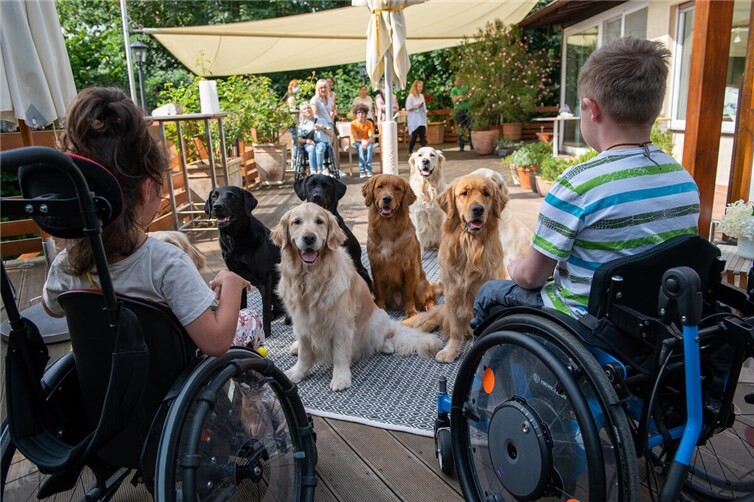 Assistenzhunde helfen den Menschen mit Beeinträchtigungen im Alltag. Fotos: Britta Hünning