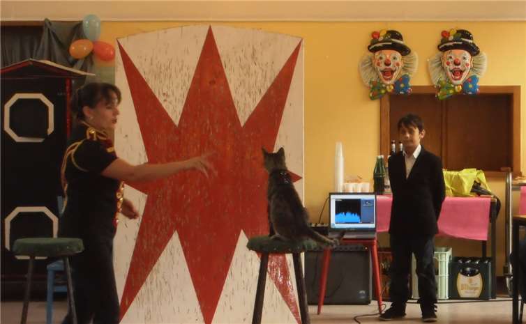 Auch Django zeigte einige Tricks.