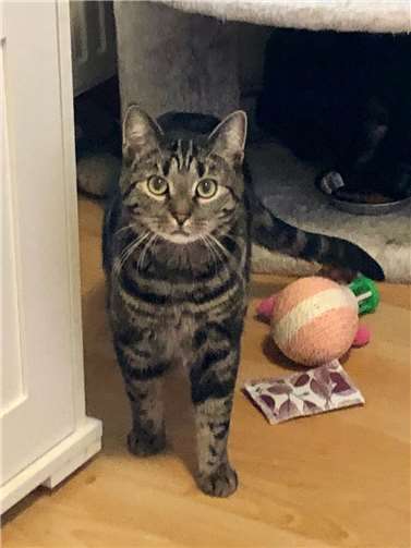 Auch Julia sucht liebe Menschen. 