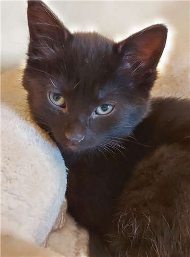 Auch Marla möchte ihren Menschen finden.