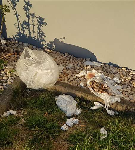 Auch Müll wurde verteilt.