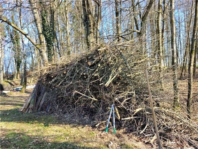 Auch als Asthaufen stellt der Grünschnitt einen wertvollen ökologischen Beitrag dar und dient verschiedenartigsten Tieren als Versteck, Lebensraum und Nahrungsquelle, womit deren Ansiedlung gefördert wird.Foto: NaturRaum Steinen-Initiative