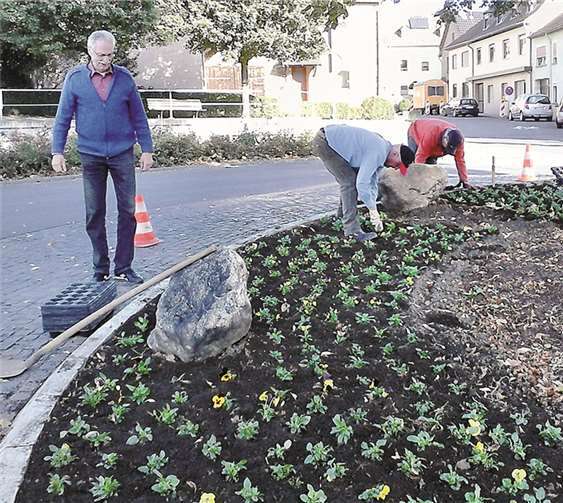 Auch am Gladbacher Kreisel wurden die Beete auf den Winter vorbereitet. privat