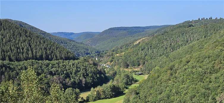 Auch am Herschbach oberhalb von Kesseling könnte ein Rückhaltebecken entstehen. Der Herschbach verläuft von Jammelshofen in Richtung Kesseling. Hier das Herschbachtal zwischen Kaltenborn und Herschbach.