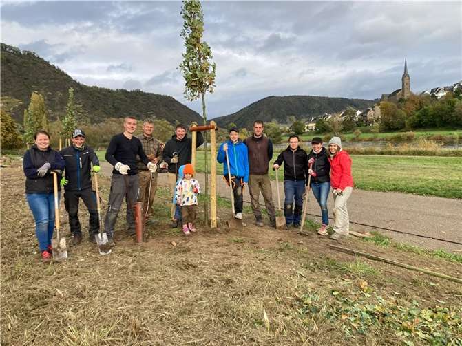 Auch am Moselufer konnten Bäume gepflanzt werden. Quelle: Ortsgemeinde Kobern-Gondorf