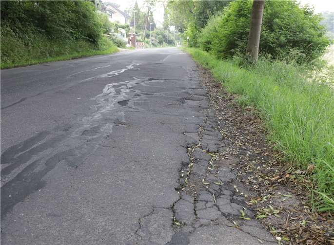 Auch an der Notwendigkeit des Ausbaus des Zukunftswegs, um die Streckenführung zu optimieren, schieden sich die Geister.CEW