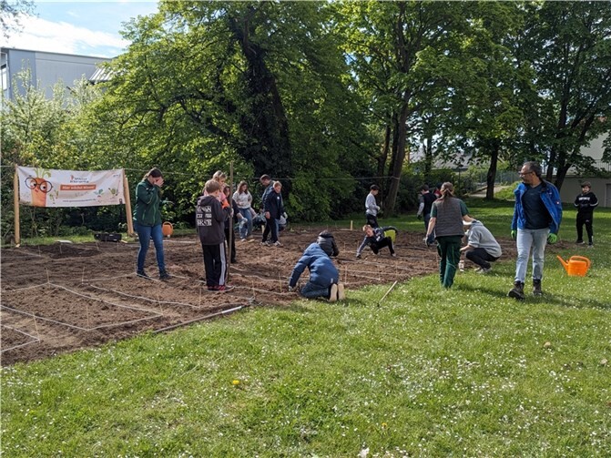 Auch auf dem Gemüseacker waren die Schüler vielfältig aktiv.