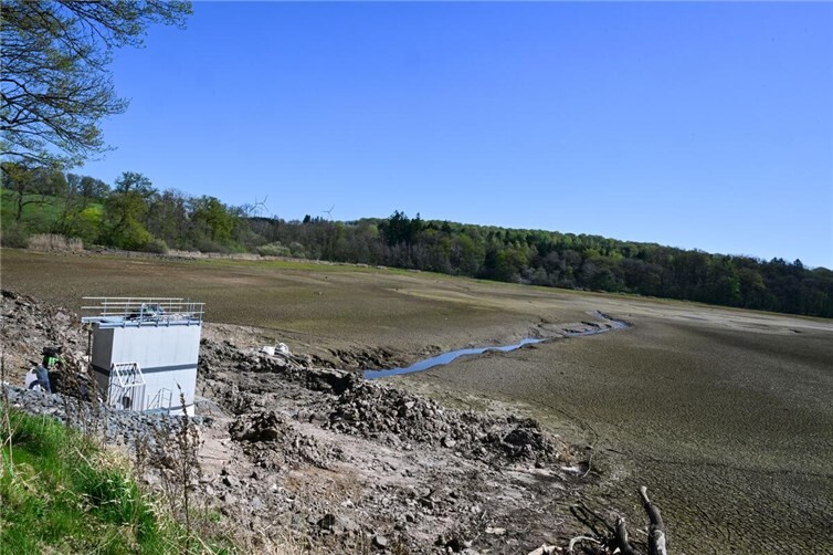 Auch auf die Amphibien hat die Wasserhaltung Auswirkungen.