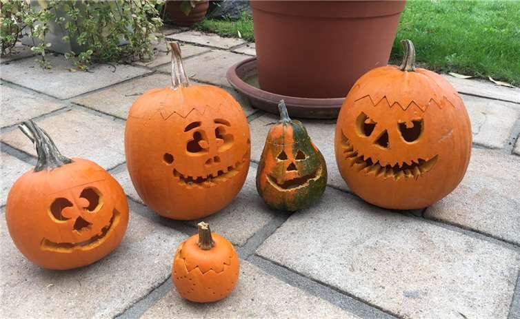 Auch bei Tag waren die Kürbisse eine tolle Dekoration.