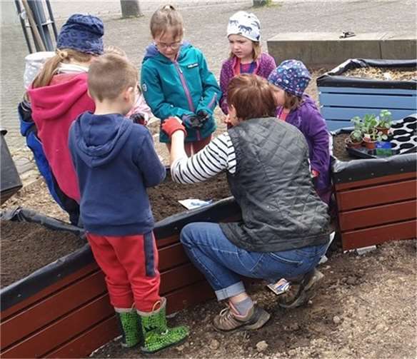 Auch bei der Bepflanzung zeigten die Kinder großes Interesse.