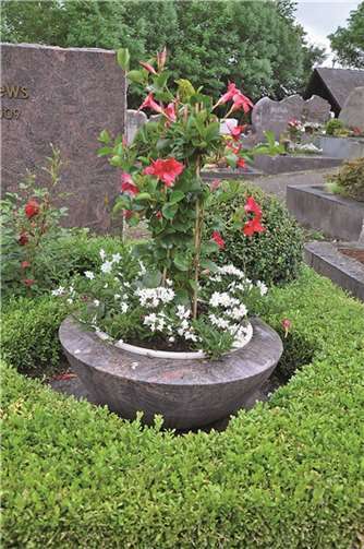 Auch bei der Grabpflege sollte man auf Boden-, Licht- und Klimabedingungen achten.