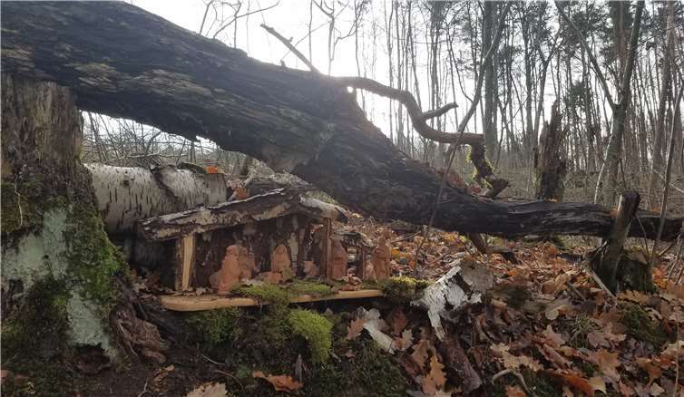 Auch beim Weg durch den Wald heißt es "Augen aufhalten", um die wunderschönen Krippen zu entdecken.