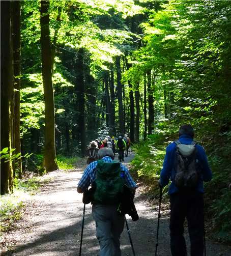 Auch bewaldete Teilstücke stehen auf dem Wanderplan.