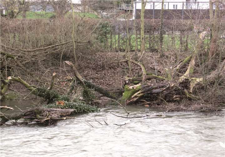 Auch das Ahrufer im westlichen Teil der Stadt sollte in Augenschein genommen werden. privat