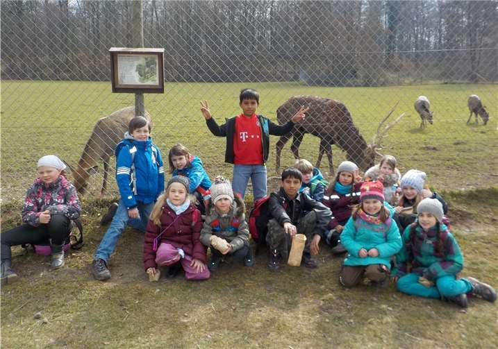 Auch das Füttern der Tiere machte offensichtlich allen viel Spaß.