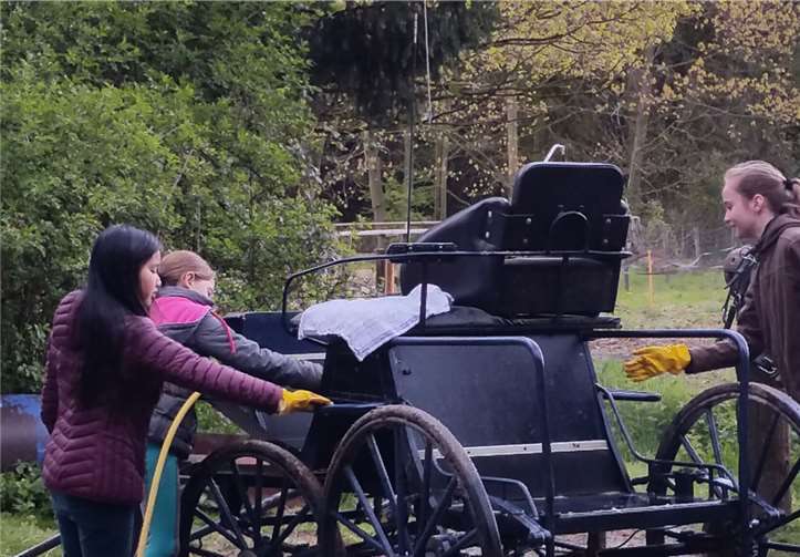 Auch das Reinigen der Kutsche kam nicht zu kurz.privat