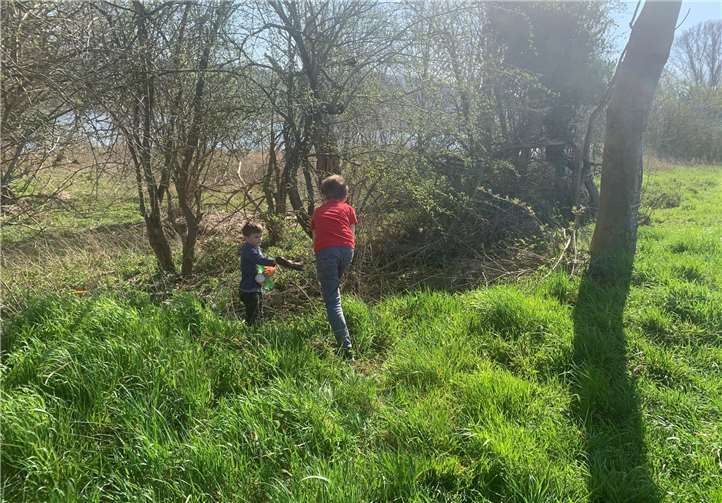 Auch das Rheinufer wurde bei der Müllsammelaktion von Müll befreit.