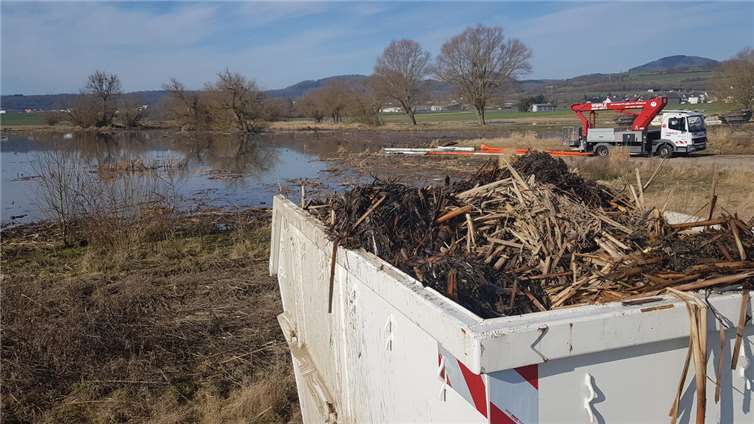 Auch das kontaminierte Schilf wurde eingesammelt und fachgerecht entsorgt.