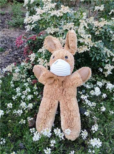 Auch der Osterhase hat nun eine schwierige Zeit. Foto: privat