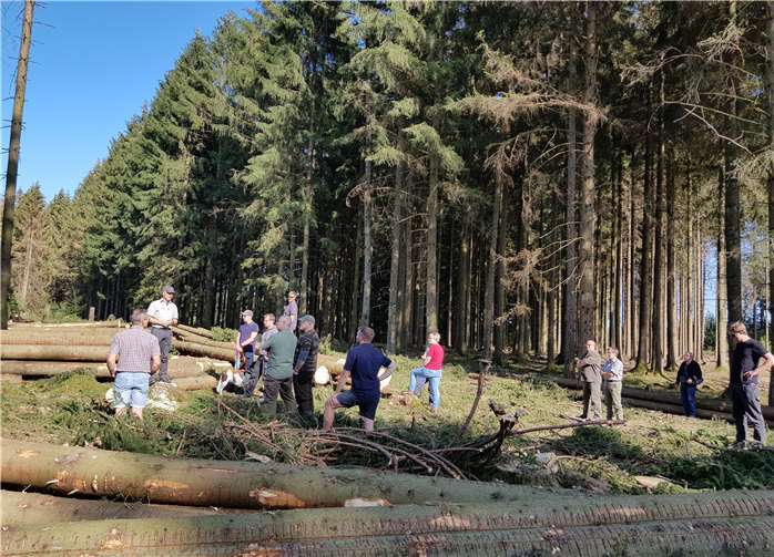 Auch der Wald in Wölferlingen ist sehr stark von der Trockenheit betroffen.Foto: Ortsgemeinde Wölferlingen