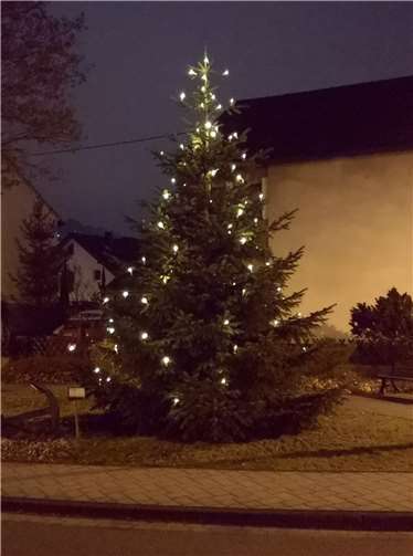 Auch der Weihnachtsbaum am Ortseingang erstrahlt im Lichterglanz.