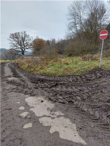 Auch die Abfahrt vom Parkplatz zur Grillhütte wurde im selben Zeitraum im Mündungsbereich zerfahren.