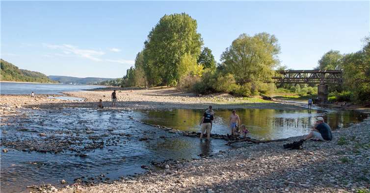Auch die Ahrmündung in den Rhein bei Sinzig wird als ein möglicher Standort für eine neue Rheinbrücke angesehen, was allerdings nicht nur bei Umweltschützern auf erbitterten Widerstand stößt.