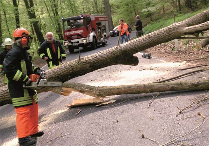 Auch die Beseitigung von Sturmschäden gehört zu den Aufgaben der Freiwilligen Feuerwehren. privat