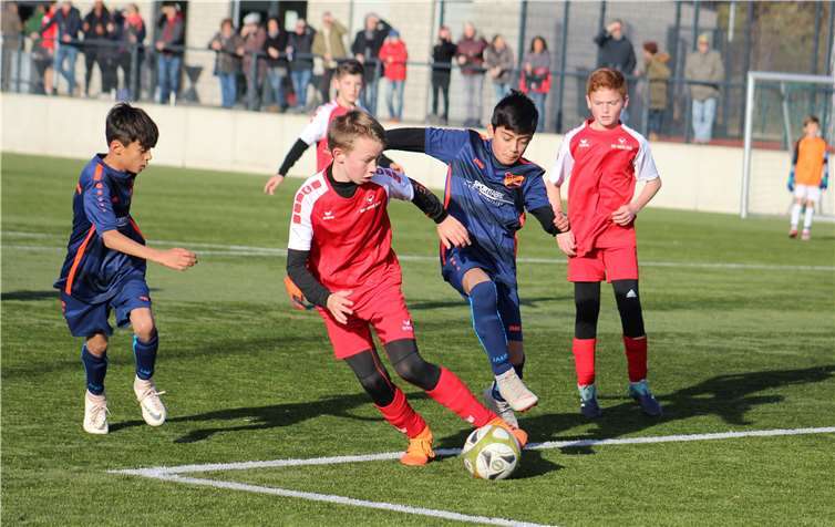 Auch die D-Jungs hoffen auf Unterstützung durch zahlreiche Zuschauer.Fotos:SV Rot-Weiß Merl