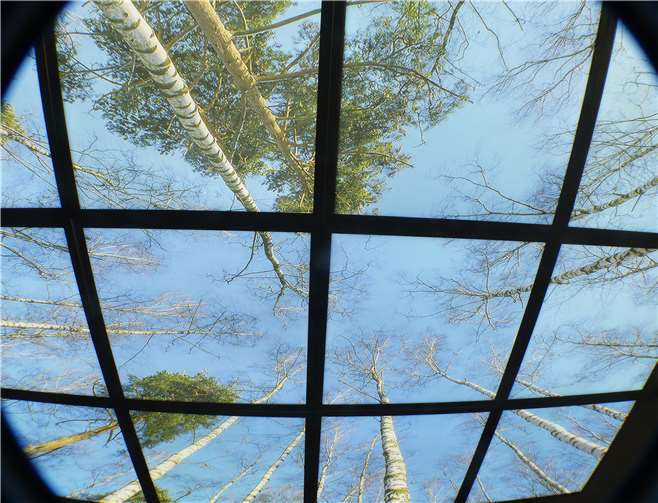 Auch die Deckenbeleuchtung ist harmonisch an die Dekoration mit Birkenstämmen.