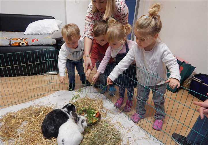 Auch die Kaninchen Katinka und Stubbs besuchten die Projektgruppe. Foto: privat