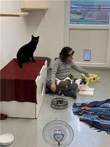 Auch die Katzen im Tierheim genießen das Projekt sichtlich und freuen sich über die gemeinsame Zeit, die ihnen die Leseanfänger schenken – Kuscheleinheiten inklusive. Quelle: freigeistPR
