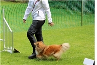 Erfolgreiches Rally Obedience Turnier mit 60 Startern