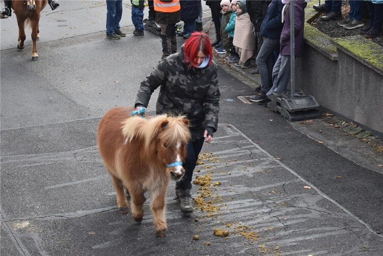 Auch die Kleinsten waren dabei.