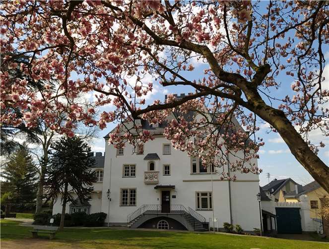 Auch die Obere Burg hatte ihre Pforten geöffnet.  Foto: Förderkreis Obere Burg