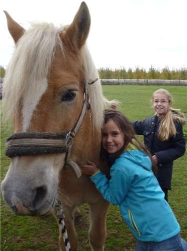 Auch die Pferdeliebhaber kamen voll auf ihre Kosten. Privat