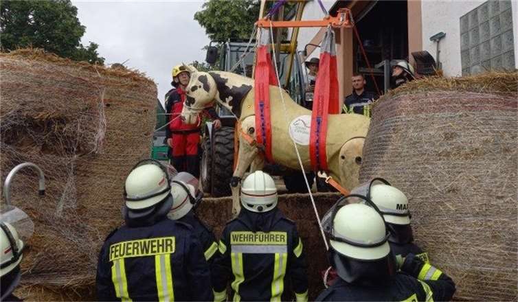 Auch die Rettung eines Pferdes wurde geprobt.  Foto: Feuerwehr VG Rengsdorf-Waldbreitbach
