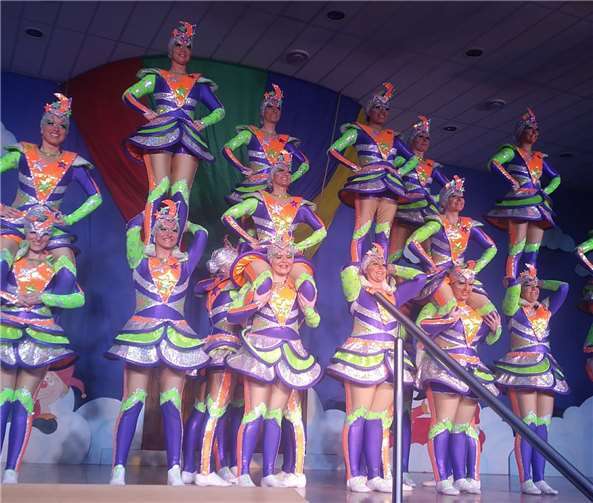 Auch die Showtanzgruppen konnten das Publikum begeistern.Foto: privat