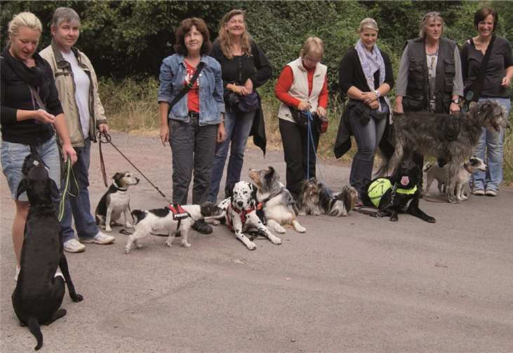 Auch die Teilnehmer einer Cochemer Hundeschule machten mit ihren Schützlingen begeistert mit.MT