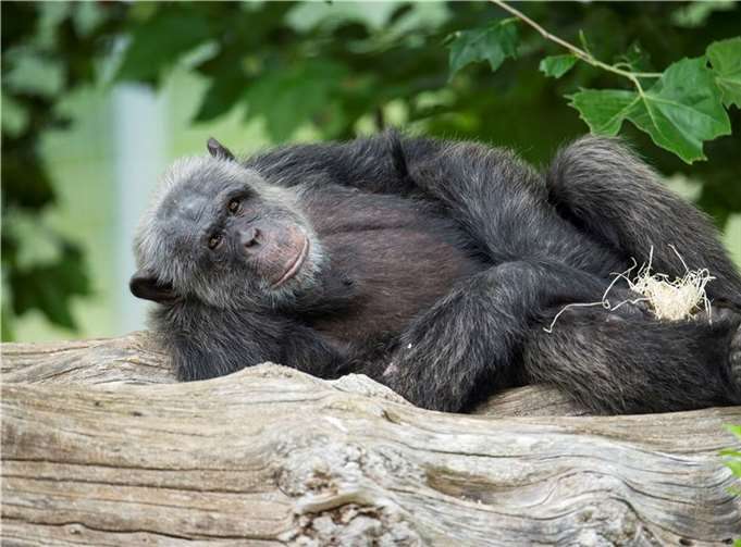 Auch die Tiere freuen sich über neue Besucher,und im Sommer ist es ja auch draußen am schönsten.