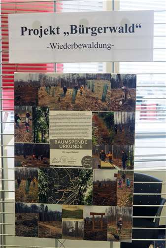 Auch die Wiederbewaldung das Projekt „Bürgerwald“ sind Thema der Arbeiten.