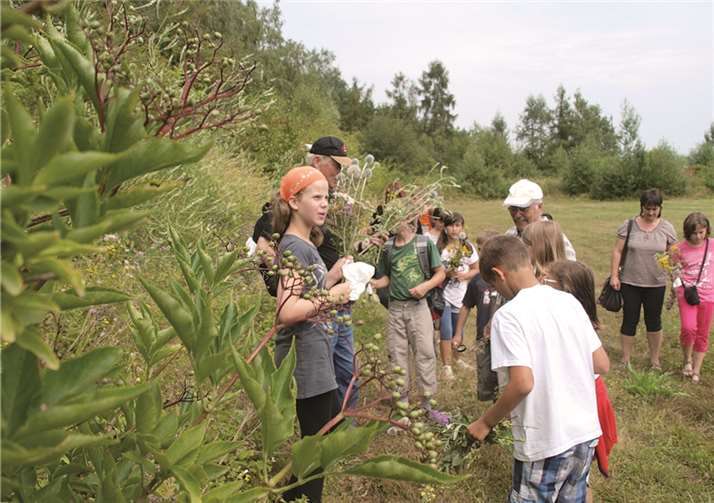 Auch die Wirkungen der Kräuter wurden am Feldrand eingehend erklärt.