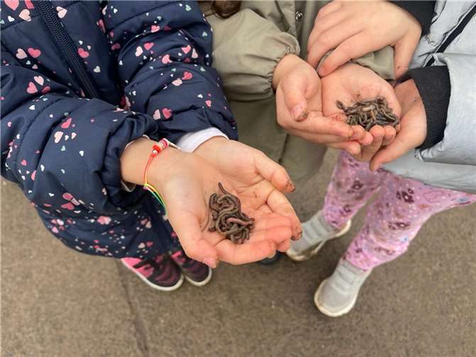Auch die nützlichen Regenwürmer werden von den Kita-Kindern im Abenteuerland genau betrachtet.  Foto:privat