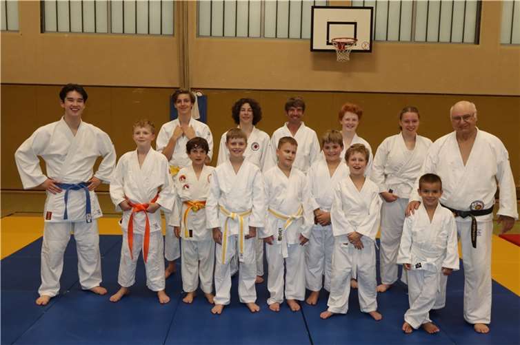 Auch die soziale Komponente spielt eine große Rolle, da Judo nur in der Gruppe mit den Trainingspartnern sinnvoll betrieben werden kann.  Foto: BSV Rheinbach