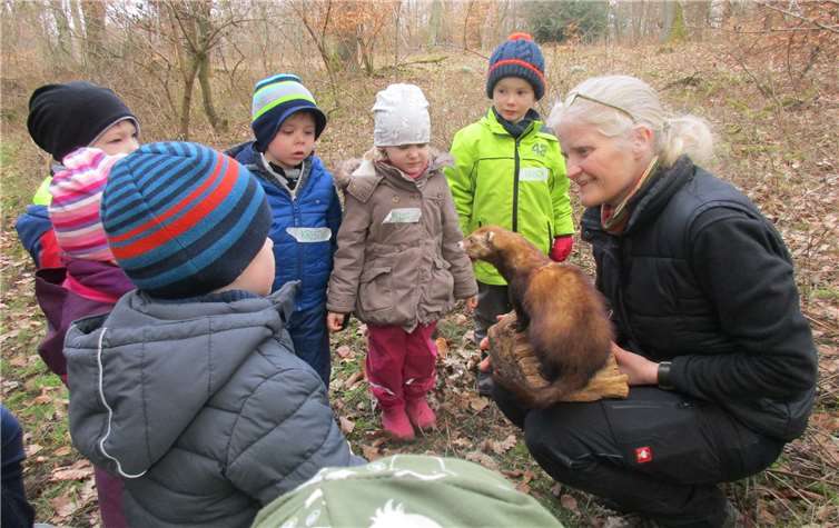 Auch eher unbekannte Tiere „zum Anfassen“ hatte Frau Schweikert im Gepäck.  privat