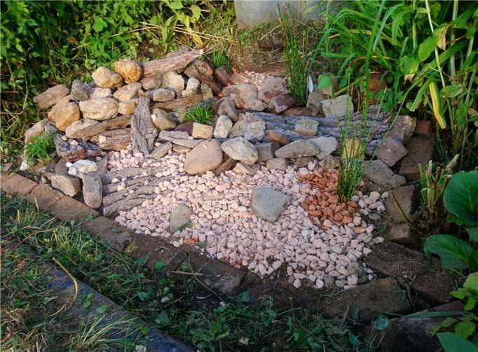 Auch ein Steinbiotop wurde angelegt.