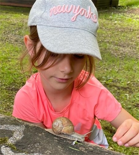 Auch eine Schnecke wurde beobachtet.